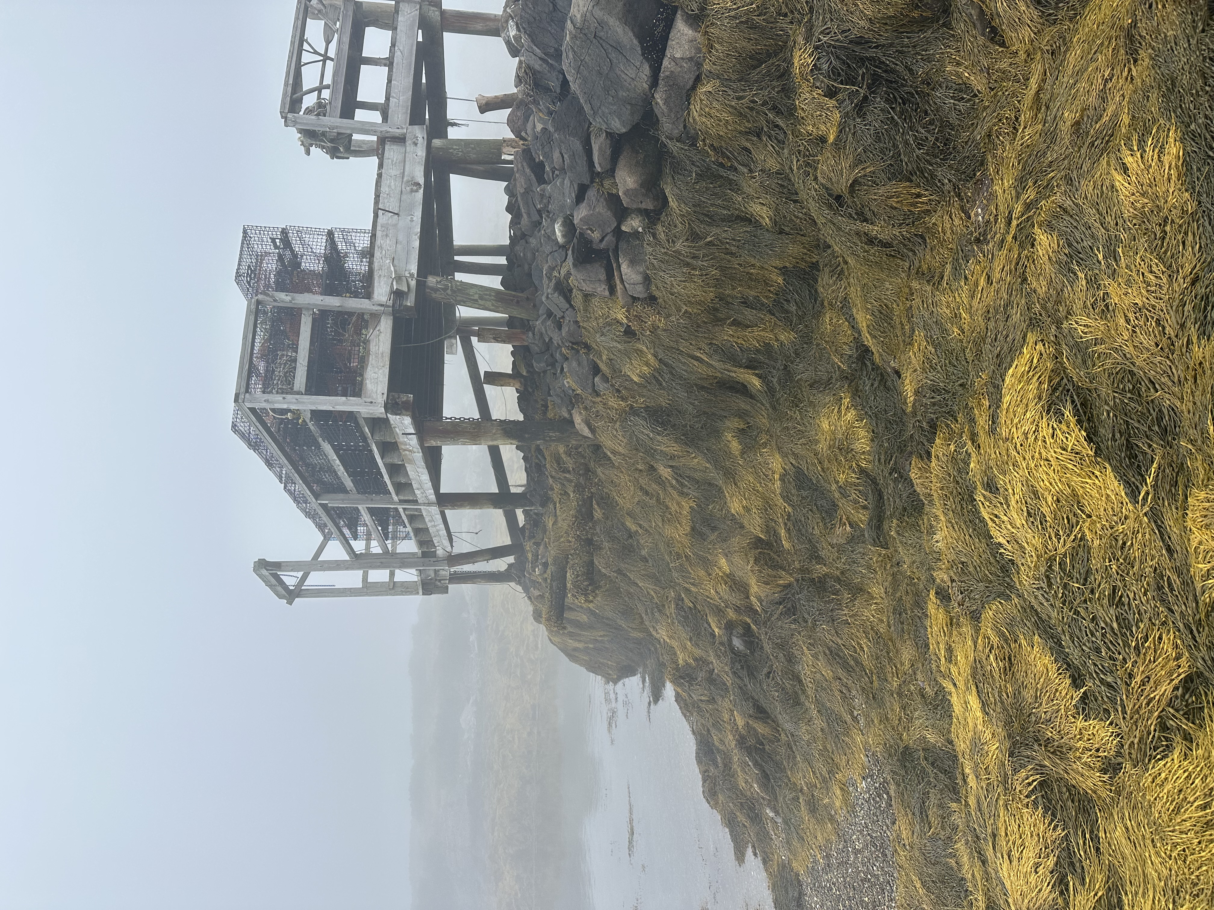 Project 5 photo 2 — Ocean's Edge Marine construction in Midcoast Maine